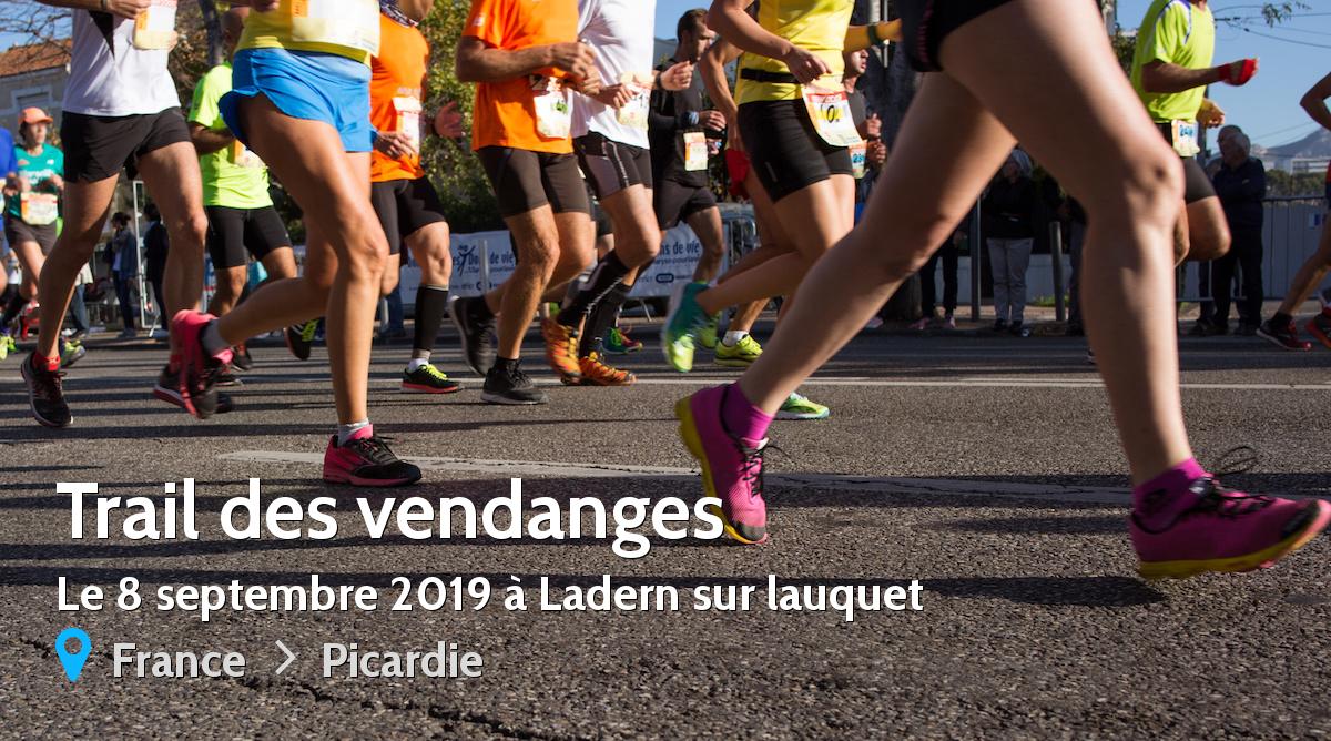  Trail des vendanges 2019 R sultats